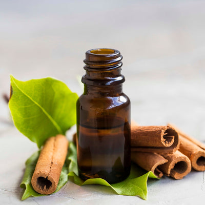 Cleaning with Essential Oils: The Unique Powers of Cinnamon Essential Oil