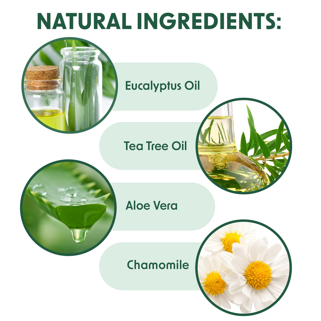 Embody® Cleaning Wipes Bundle - 225ct Eco Body Wipes & Natural Body Wipes 225ct Bucket Refill Roll