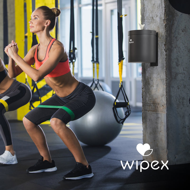 Wipex® Stainless Steel Wall-Mounted Wipes Dispenser for Refill Rolls with Modern Design - product_type by Wipex Co. - Available at wipex-natural-wipes.myshopify.com