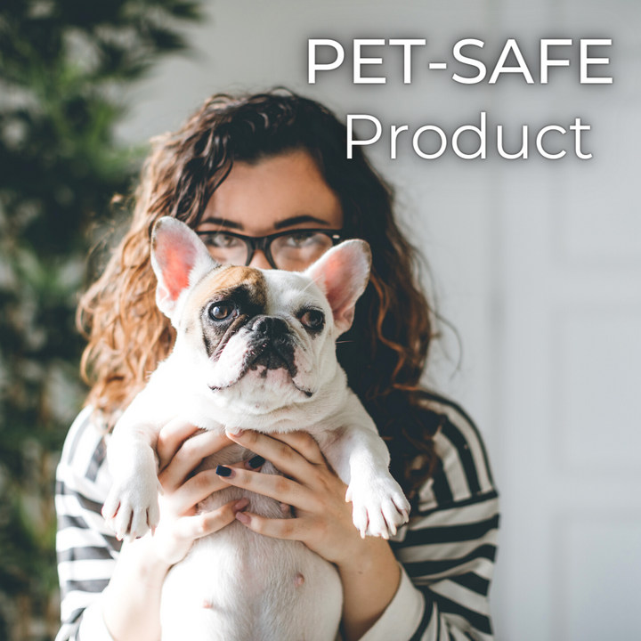 Natural Fitness Equipment Wipes – Safe on Skin, Essential Oil Formula - product_type by Wipex Co. - Available at wipex-natural-wipes.myshopify.com