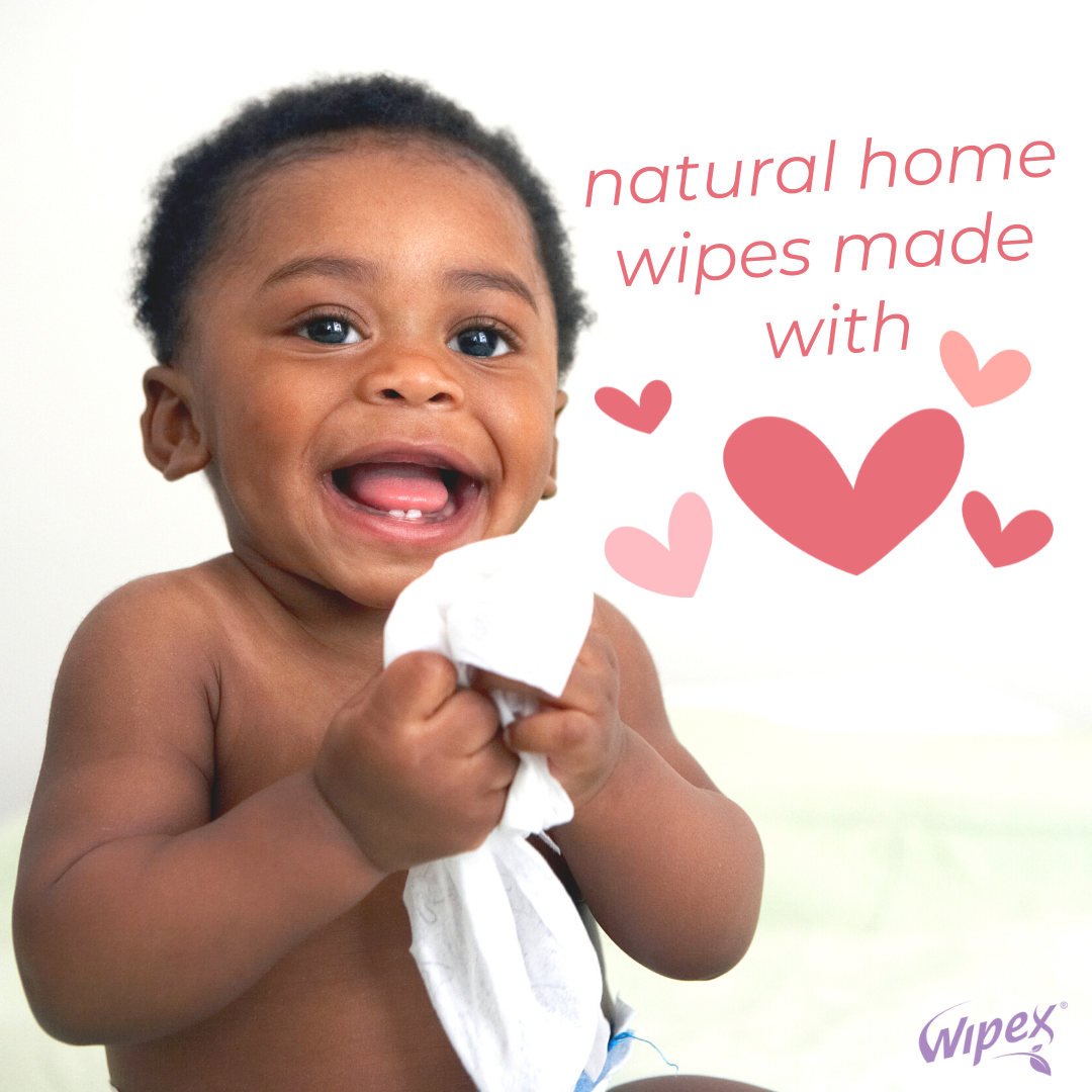 Plant-Based Home Cleaning Full Set | Wipes for Surfaces, Screens, & Floors - product_type by Wipex Co. - Available at wipex-natural-wipes.myshopify.com